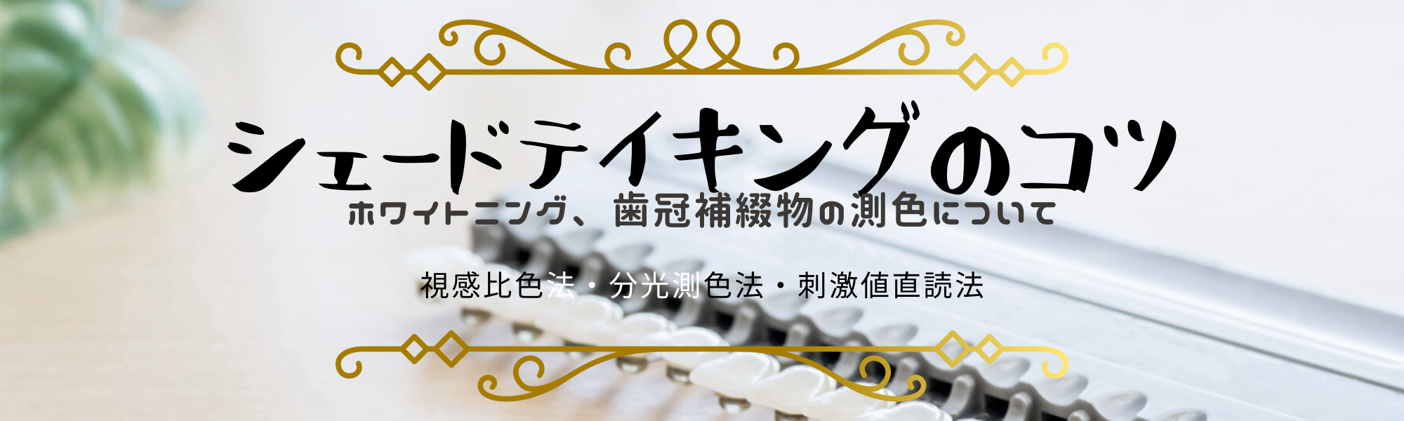 beige_&_blue_simple_brush_personal_linkedin_banner_(5).png